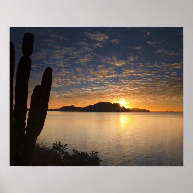 Soluppgången över Isla Danzante i Poster (Framsidan)