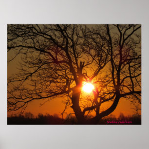 Soluppgångkanvastryck Poster