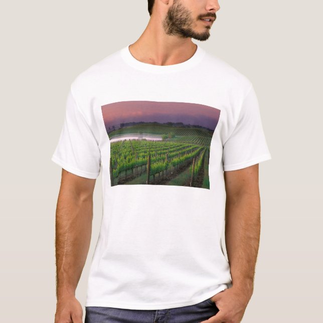 Soluppgångsfärg i dimman bakom t-shirt (Framsida)