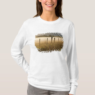 Soluppgångsljus dimma längs staket nära Charlo T-shirt
