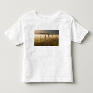 Soluppgångsljus dimma längs staket nära Charlo T Shirt
