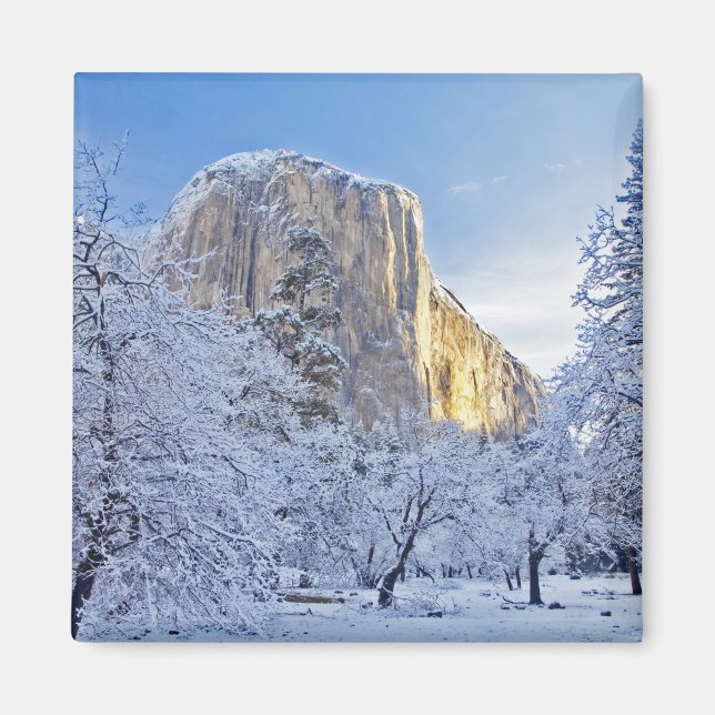 Soluppgångsljus träffar El Capitan genom snöiga Magnet (Framsidan)