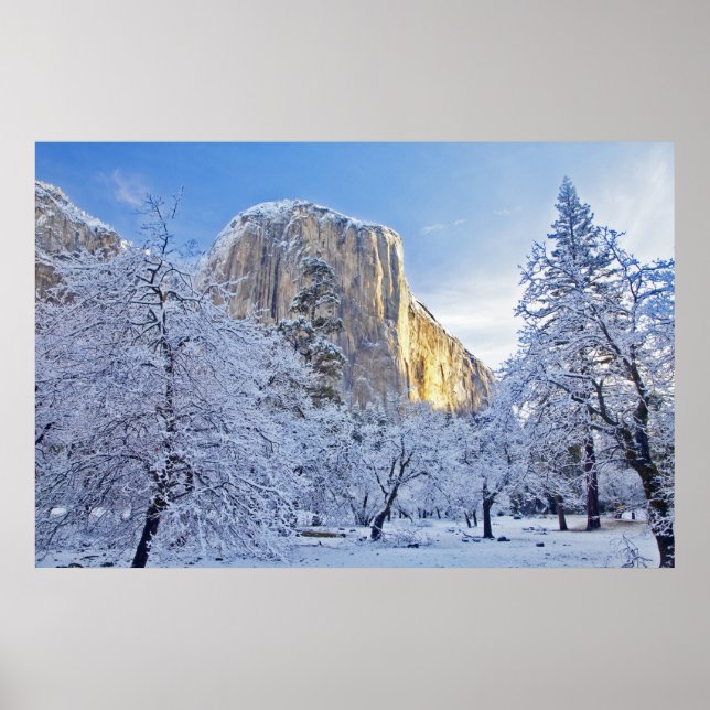 Soluppgångsljus träffar El Capitan genom snöiga Poster (Framsidan)