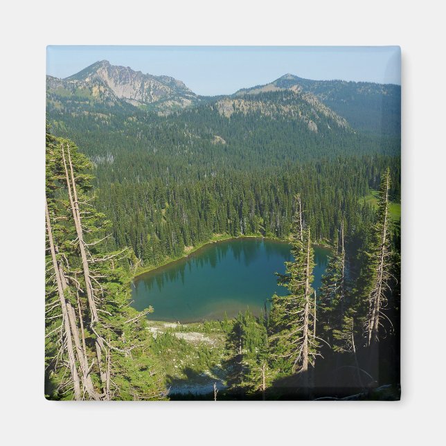 Soluppgångssjön sedd från ovan vid Mount Rainier P Magnet (Framsidan)