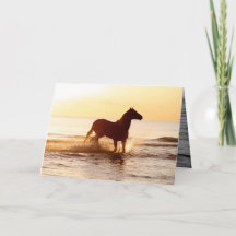 Solupphöjande häst i hälsningskortet Vatten