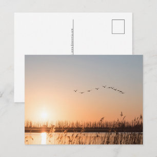 Solupphöjt naturfoto helg vykort