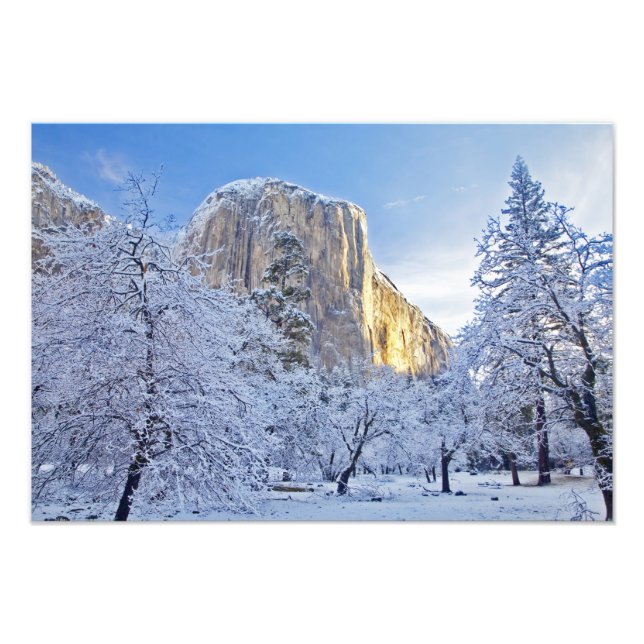 Soluppsljus träffar El Capitan genom snoweri Fototryck (Framsidan)