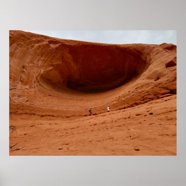 Som Ants Poster (Framsidan)