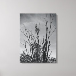 Som Ashes från en Phoenix Canvastryck