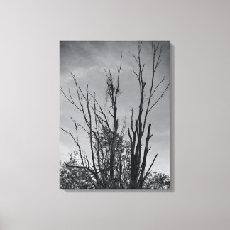 Som Ashes från en Phoenix Canvastryck