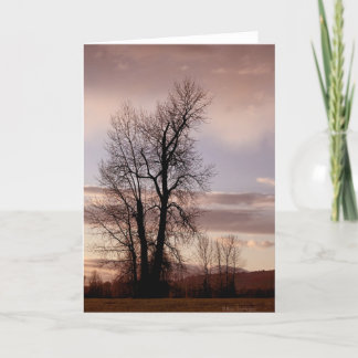 Som dagen slutar kort