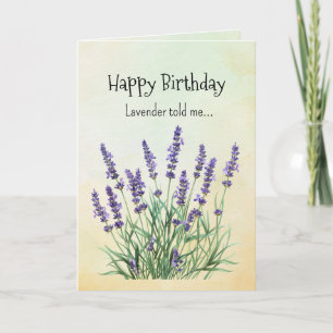 Som en lavender din födelsedag kort