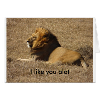 Som en massa hälsningskort