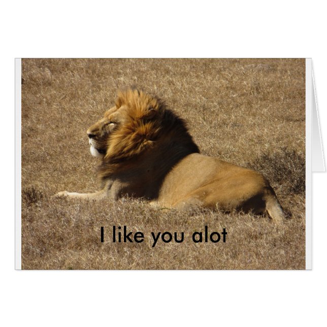 Som en massa hälsningskort (Framsidan Horizontal)