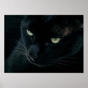 Som en svart panna poster