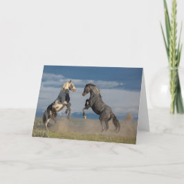 "Som Far, som Son-kort" Kort