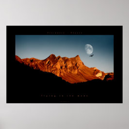 som flyger till måne poster