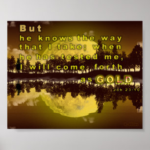 Som Guld Poster