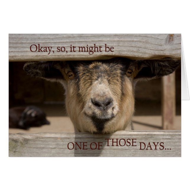 som har en av dessa dagar hälsningskort (Framsidan Horizontal)