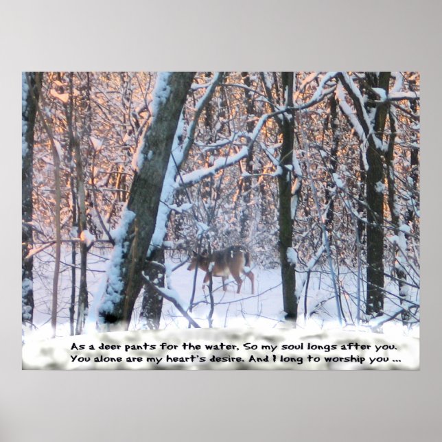 Som Hjort för Vatten.. Poster (Framsidan)