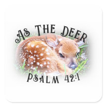 Som Hjort Psalm 42:1 Bible Verse Cute Baby Fawn