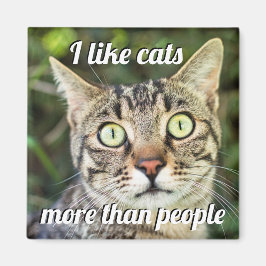 Som katter mer än folk med grönt ögon på kattnärin magnet