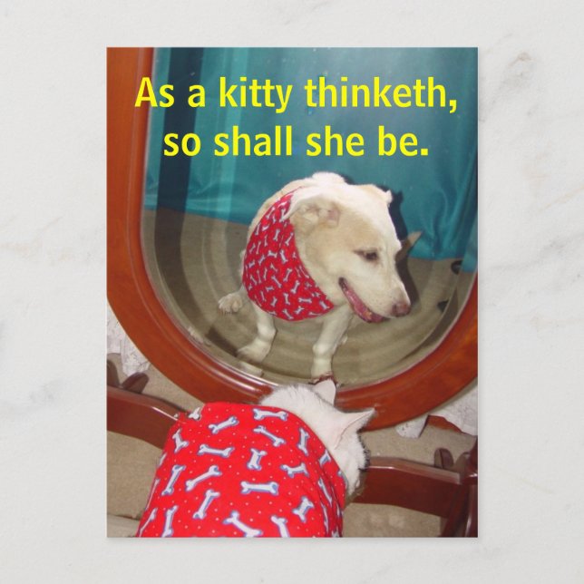 Som kattunge tror... vykort (Framsida)