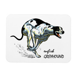 som kör greyhound magnet