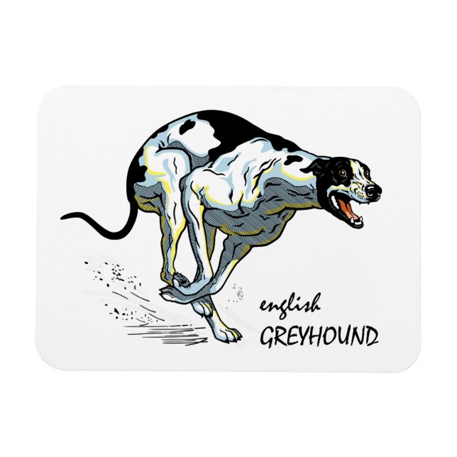 som kör greyhound magnet (Horisontell)
