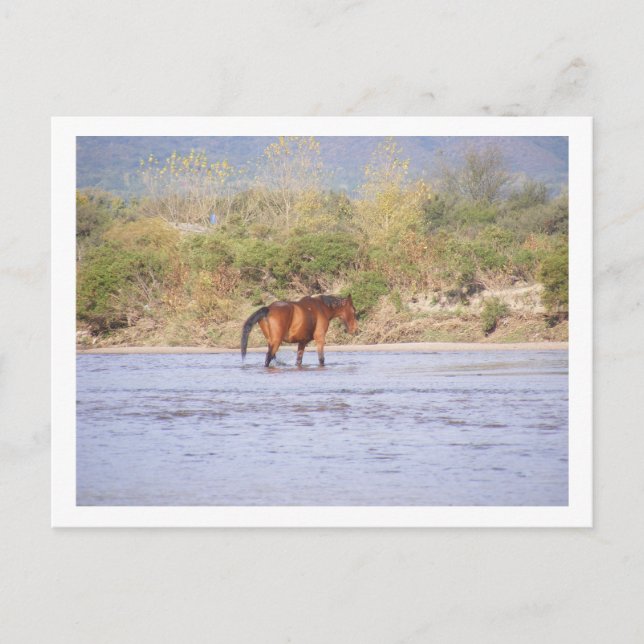 som korsar floden vykort (Framsida)