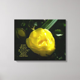 Som mjukt ljus på Gul ros Canvastryck