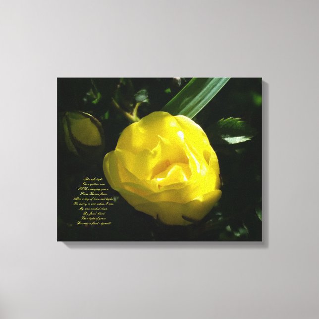 Som mjukt ljus på Gul ros Canvastryck (Framsida)