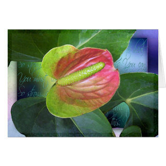 Som ska för att läka hälsningskort