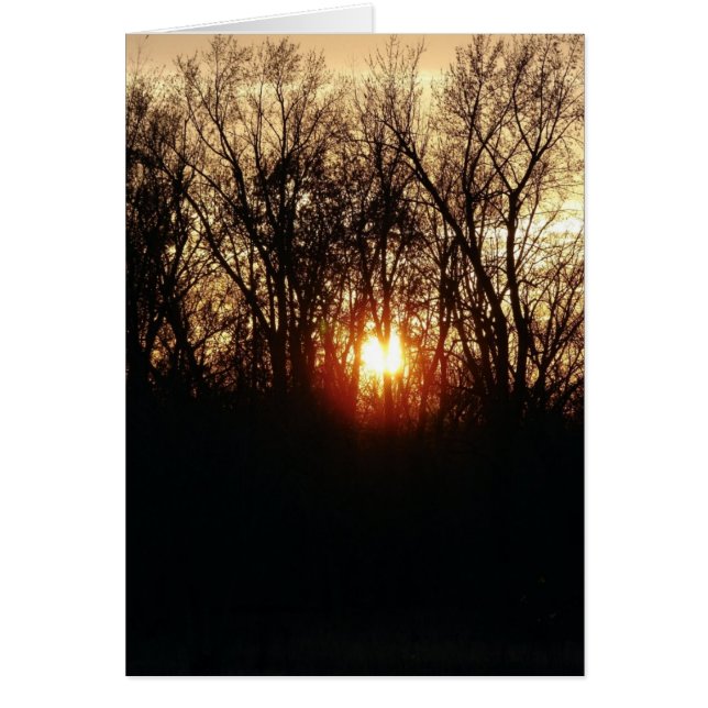 Som Sol sätter Hälsningskort (Framsidan)