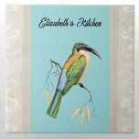 Somali Bee Eater Bird med Namn på Aqua Kakelplatta<br><div class="desc">Den här utformningen har den vackra fågeln "bi eater" (Merops revoilii), med levande och färgstarka fjädrar och flytande vall. Denna juveltonsfågel fångar, som namn antyder, olika insekter. Denna art förekommer i allmänhet endast i Etiopien, Kenya, Saudiarabien, Somalia och Tanzania. Vissa människor som tänkor den här fågeln har utvecklats från kungsfiskaren....</div>