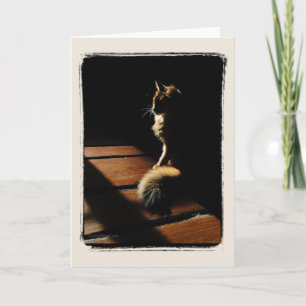 Somali Cat Silhouette-kort Kort