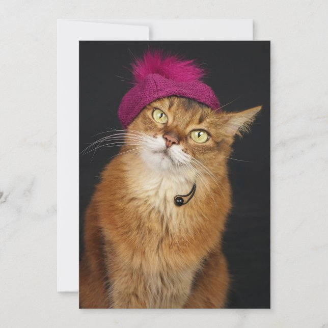 Somali Cat Wearing a Raspberry Beret Julkort (Framsida)