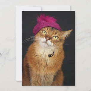 Somali Cat Wearing a Raspberry Beret Julkort