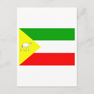Somali Flagga Vykort