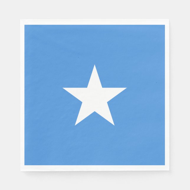 Somalia Flag Pappersservett (Framsidan)
