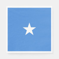 Somalias flagga