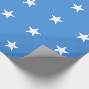 Somalias flagga presentpapper