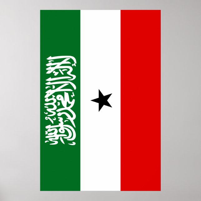 Somaliland Flagga Poster (Framsidan)