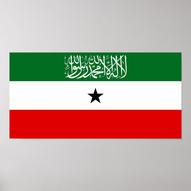 Somalilands flagga poster (Framsidan)