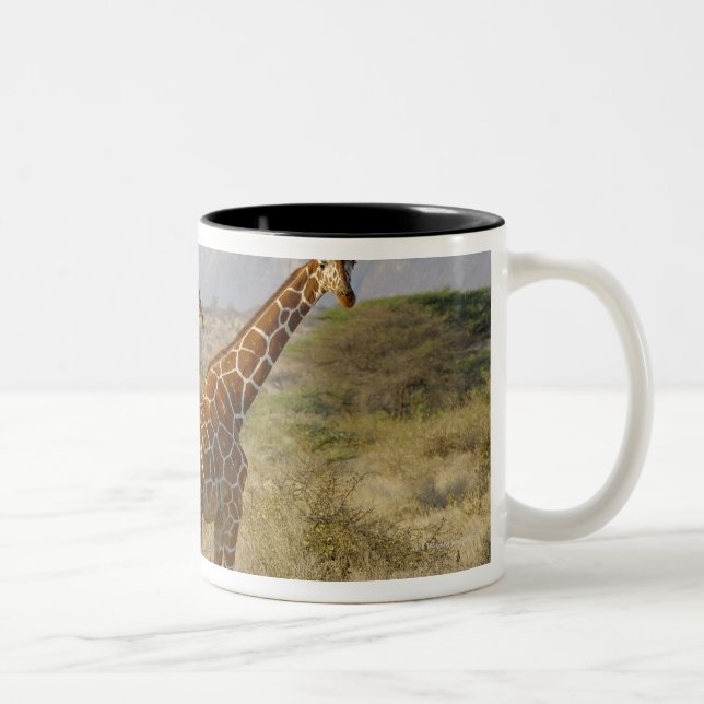 Somalisk giraff, Reticulated giraff, Giraffa Två-Tonad Mugg (Höger)