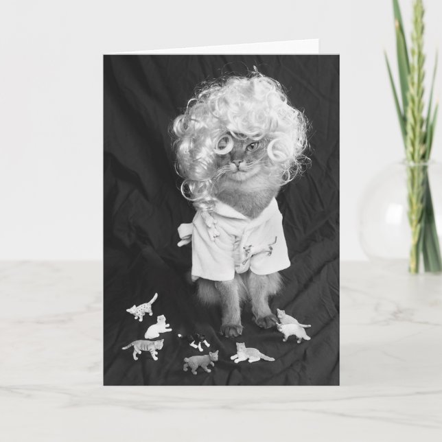 Somalisk katt för galen kattdam kort (Framsida)