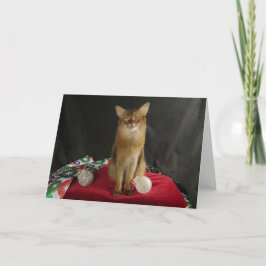 Somalisk katt för helgdag som presenterar helgkort