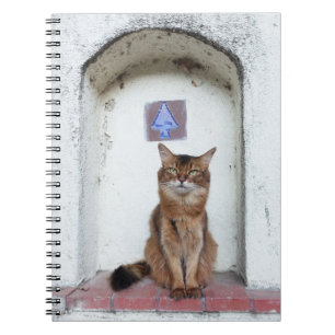 Somalisk katt i Alcove Old World Scene Anteckningsbok