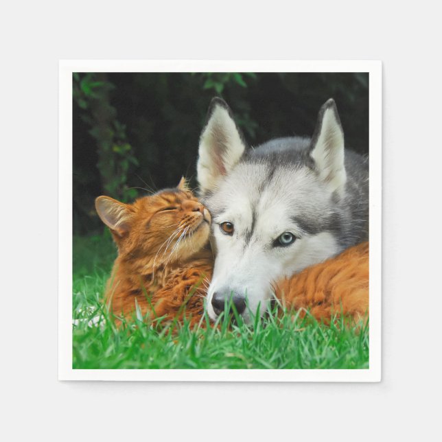 Somaliska Cat Siberian husky Cute Friends Huddle K Pappersservett (Framsidan)