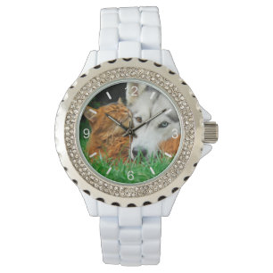 Somaliska Cat Siberian husky Cute Vänner Huddle K Armbandsur